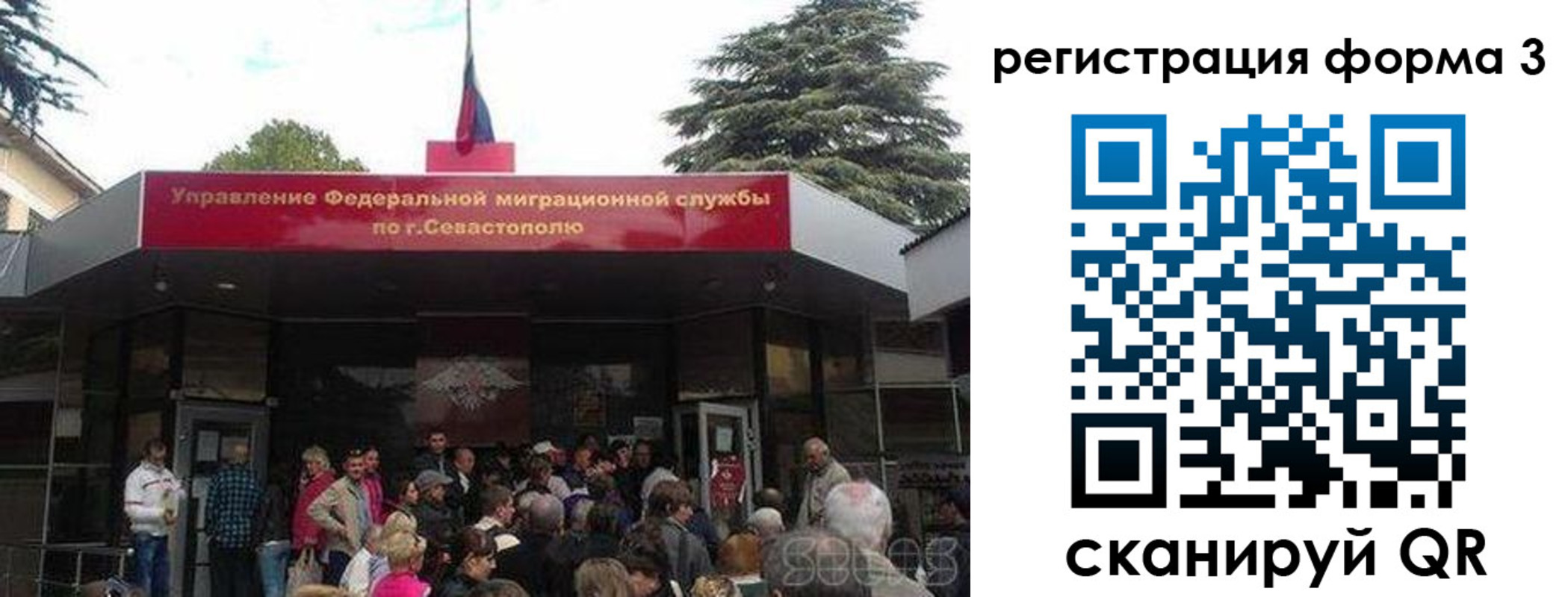 пропишу в квартире в Светлогорске